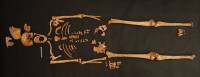 Skelett in R&uuml;ckenlage bei der morphologischen Befundung (Gilching)